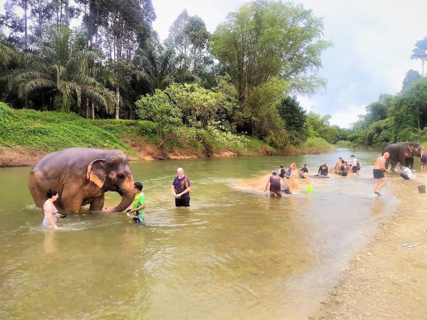 Phuket: Cheow Lan Lake Overnight With Elephant Day Care - Buffet Meals and Activities