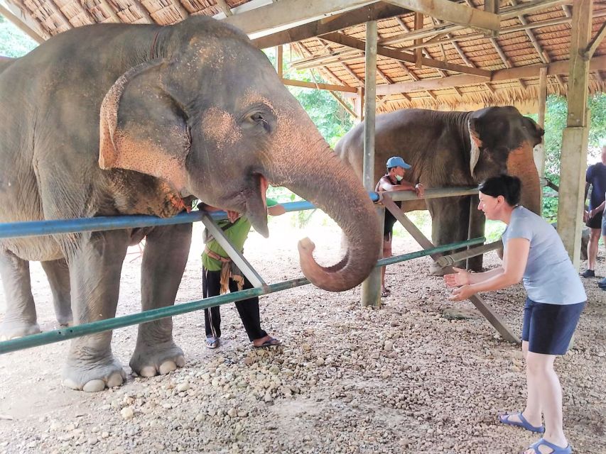Phuket: Cheow Lan Lake Overnight With Elephant Day Care - Sok River Bamboo Rafting