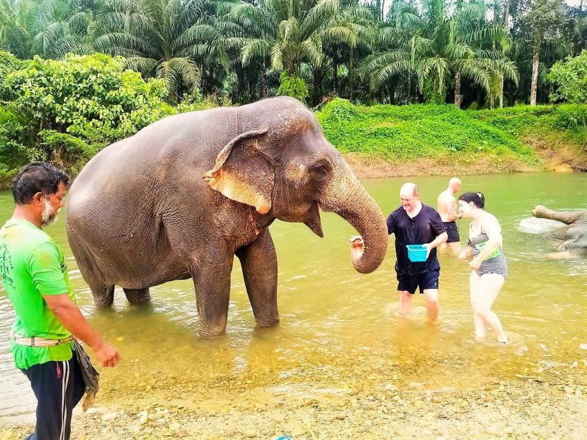 Phuket: Cheow Lan Lake Overnight With Elephant Day Care - Khao Sok National Park