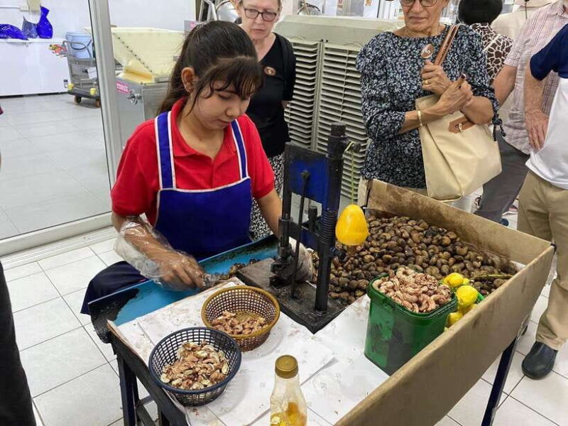Phuket City Tour With ATV Adventure and Elephant Feeding - Local Delicacies