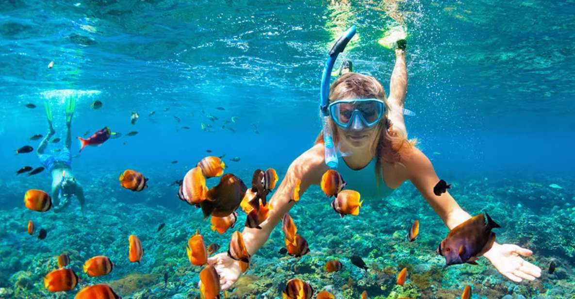 Phuket Coral Island Snorkeling Adventure (Private Speedboat) - Key Points