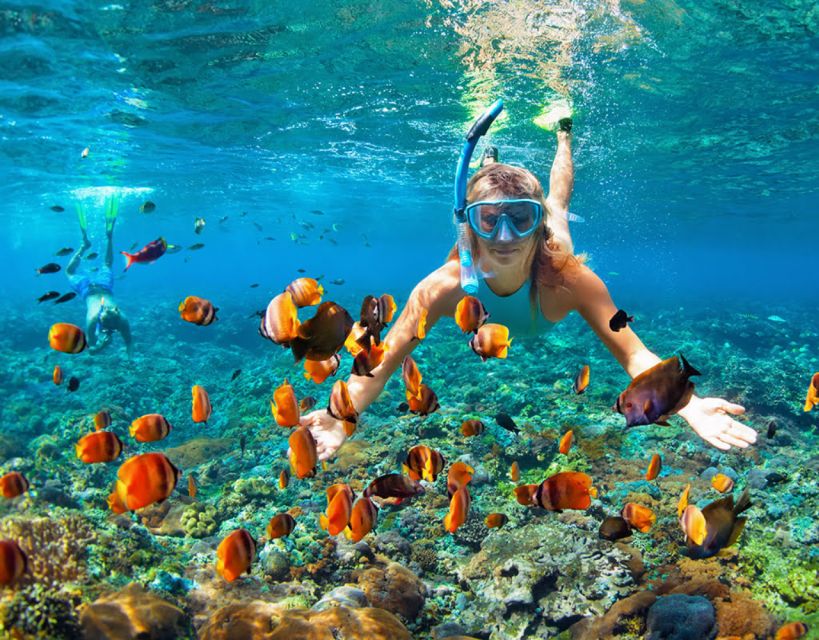 Phuket Coral Island Snorkeling Adventure (Private Speedboat) - Detailed Itinerary