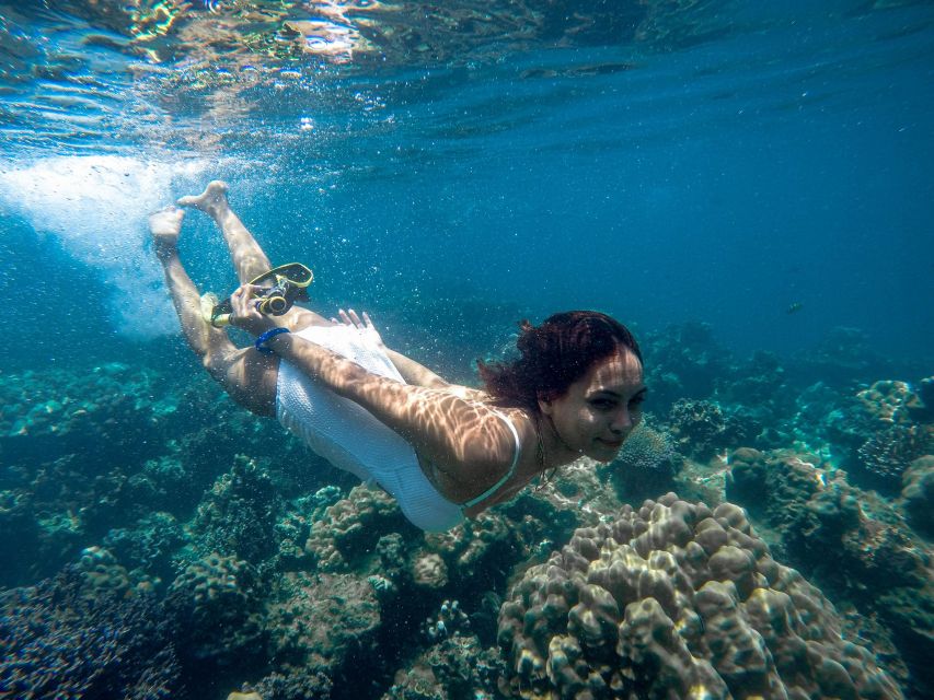 Phuket: Deluxe Phi Phi Tour by Speedboat & Lunch Buffet - Discovering Local Coral Reefs