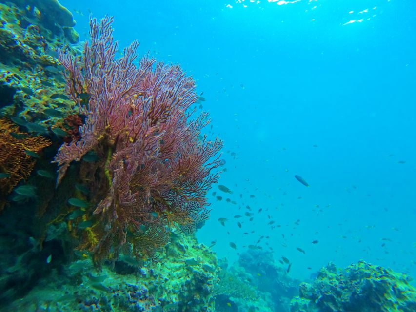 Phuket: Deluxe Phi Phi Tour by Speedboat & Lunch Buffet - Inclusive Gear and Accident Coverage