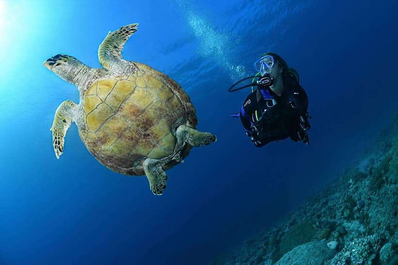 Phuket: Discover Scuba Diving to Racha Yai Island - Activity Overview