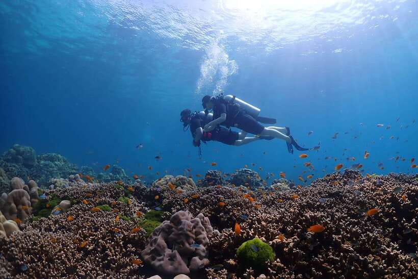 Phuket: Discover Scuba Diving to Racha Yai Island - Discover Scuba Diving