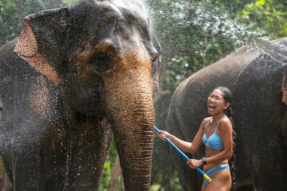 Phuket: Elephant Care Camp Visit and Elephant Jungle Walk - Key Points