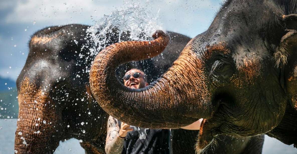 Phuket: Elephant Care Camp Visit and Elephant Jungle Walk - Location and Transportation
