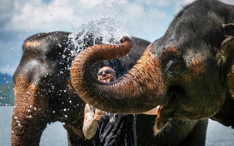 Phuket: Elephant Care Camp Visit and Elephant Jungle Walk - Elephant Bathing in Siray Bay