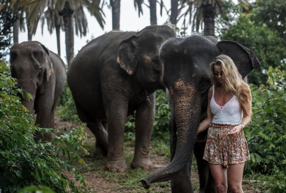 Phuket: Elephant Care Camp Visit and Elephant Jungle Walk - Relaxation in Natural Setting