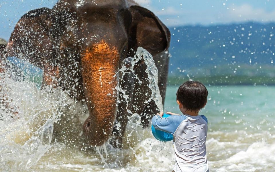 Phuket: Elephant Care Camp Visit and Elephant Jungle Walk - Booking and Cancellation Policy