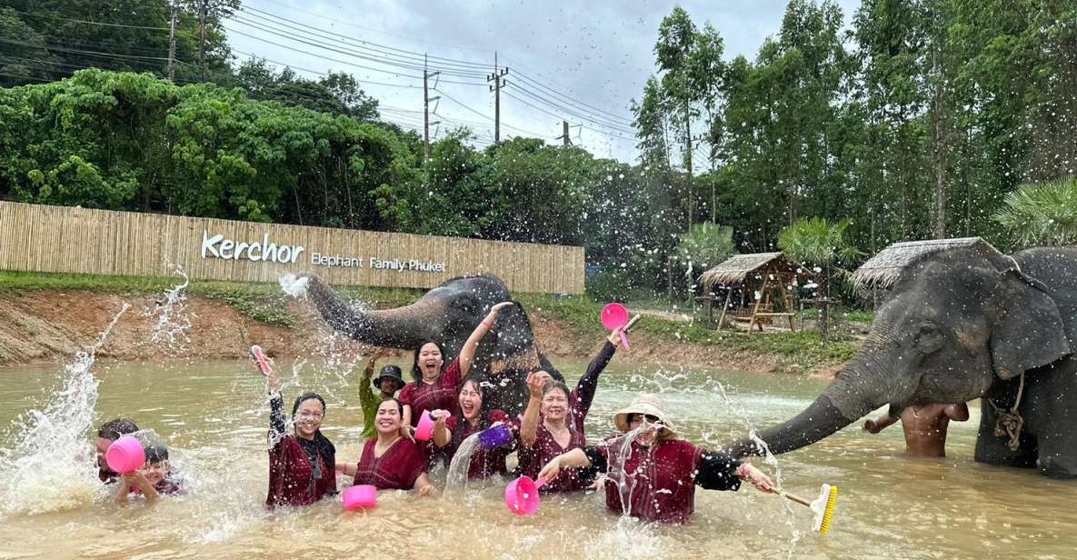 Phuket: Elephant Experience With Lunch or Dinner and Pickup - Key Points