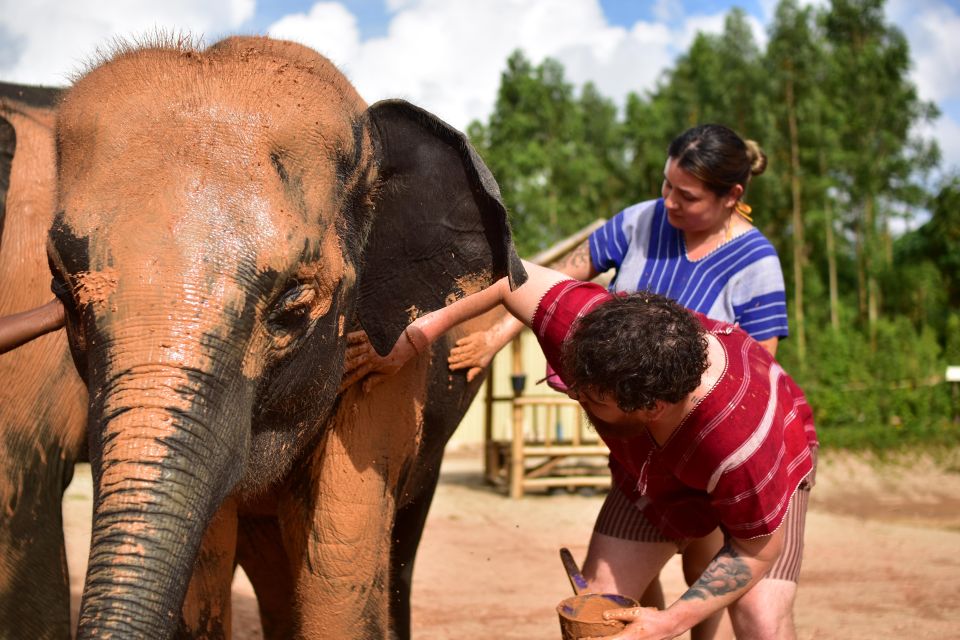 Phuket: Elephant Experience With Lunch or Dinner and Pickup - Jungle Walk and Elephant Observation