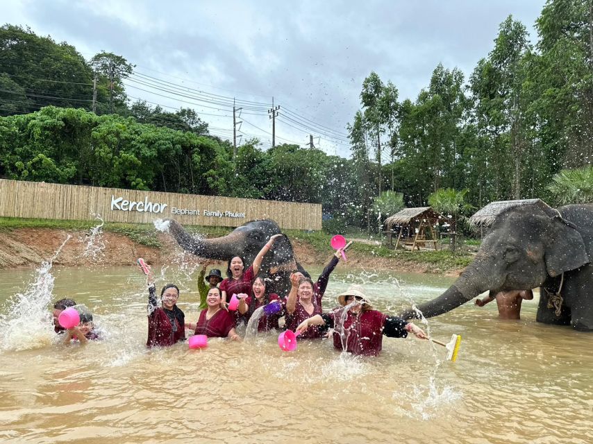 Phuket: Elephant Experience With Lunch or Dinner and Pickup - Thai Buffet Meal and Drinks
