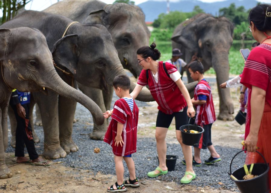 Phuket: Elephant Experience With Lunch or Dinner and Pickup - Booking and Important Information