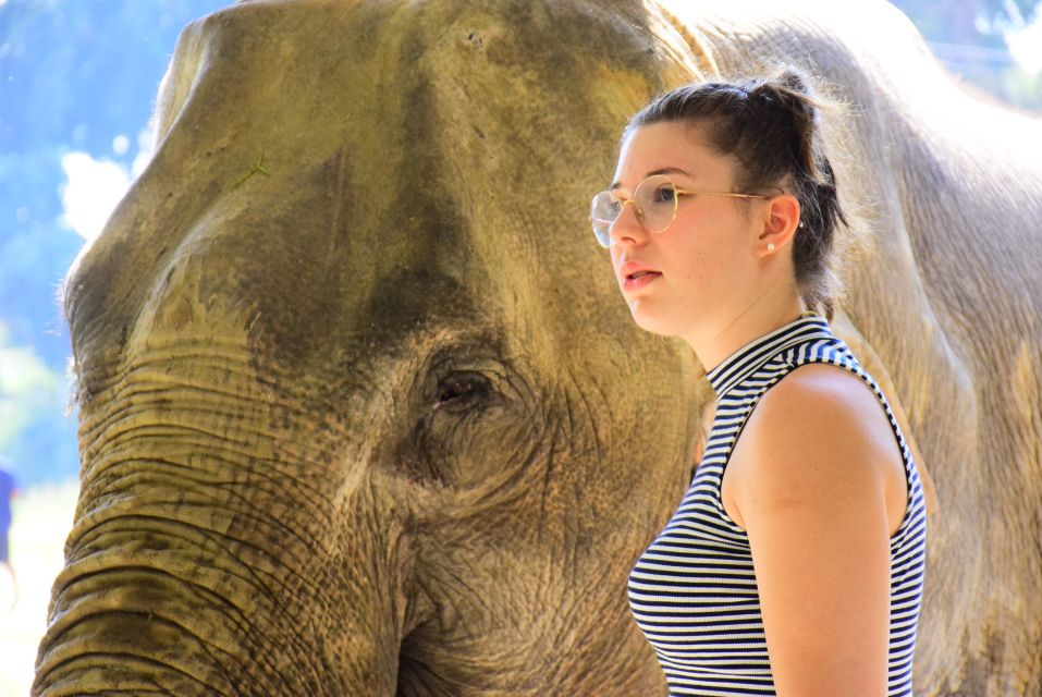 Phuket: Elephant Feeding Program - Inclusions and Pricing