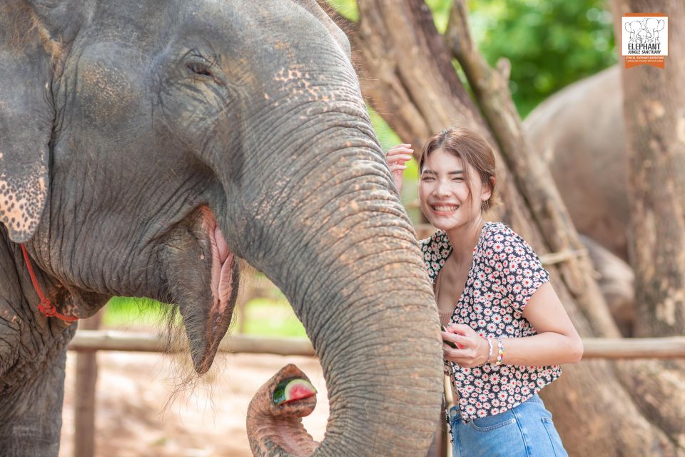 Phuket: Elephant Jungle Sanctuary Ethical Feeding Experience - Interaction With Gentle Giants