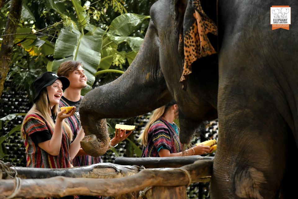 Phuket: Elephant Jungle Sanctuary Ethical Feeding Experience - Sanctuary Guides Expertise
