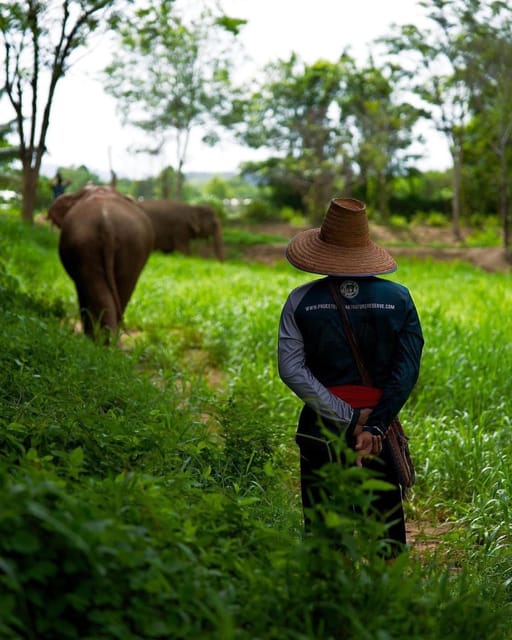 Phuket: Elephant Nature Reserve Entry Ticket and Guided Tour - Ethical and Sustainable Experience