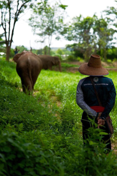 Phuket: Elephant Nature Reserve Entry Ticket and Guided Tour - Dining and Relaxation