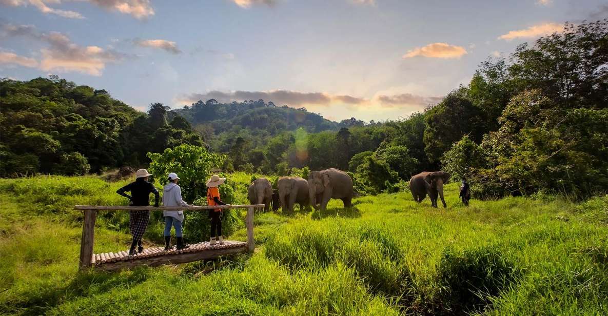 Phuket: Elephant Sanctuary Guided Tour With Hotel Transfers - Highlights