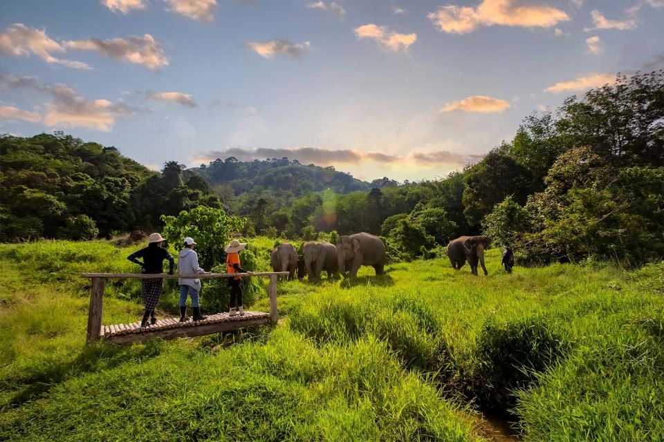 Phuket: Elephant Sanctuary Guided Tour With Hotel Transfers - Inclusions