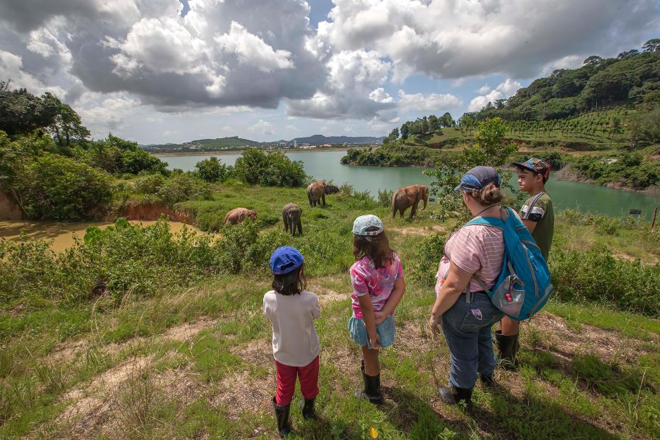 Phuket: Elephant Sanctuary Guided Tour With Hotel Transfers - Bookings