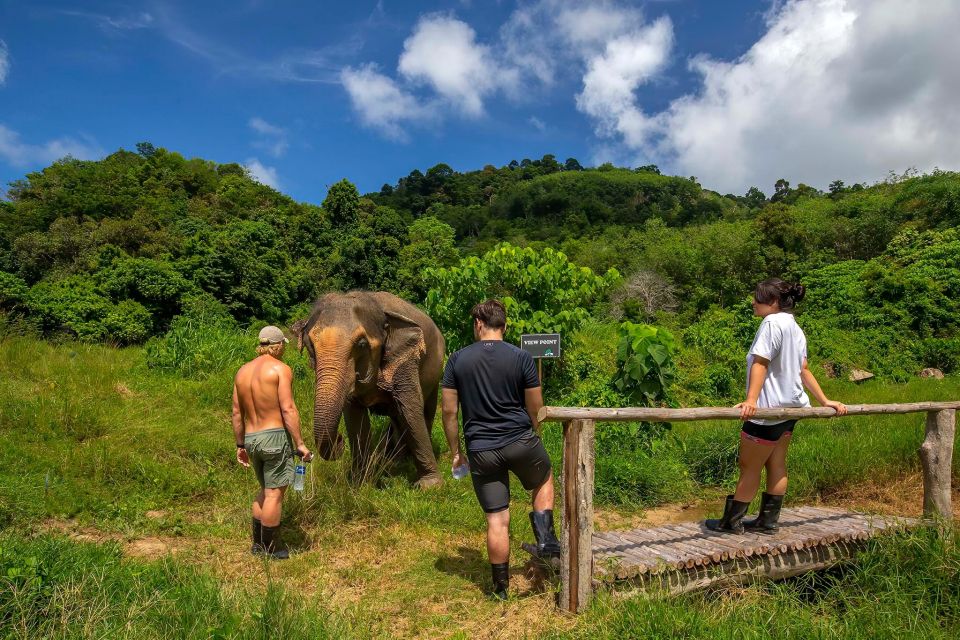 Phuket: Elephant Sanctuary Guided Tour With Hotel Transfers - Elephant Experiences
