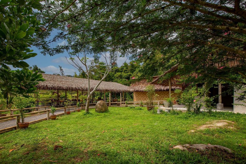 Phuket: Elephant Sanctuary Guided Tour With Hotel Transfers - Rubber Tapping and Sheet Making