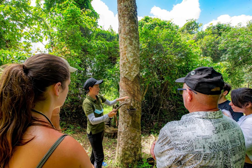 Phuket: Elephant Sanctuary Guided Tour With Hotel Transfers - Frequently Asked Questions