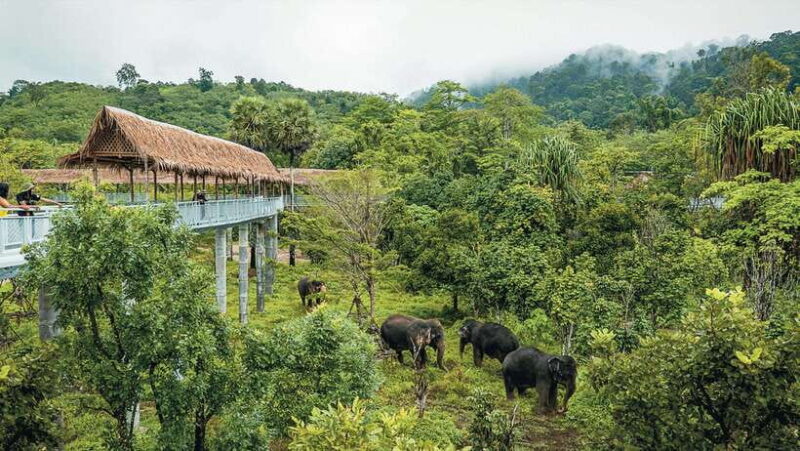Phuket Elephant Sanctuary: Half-Day With Vegetarian Meal - Preparing for Your Visit