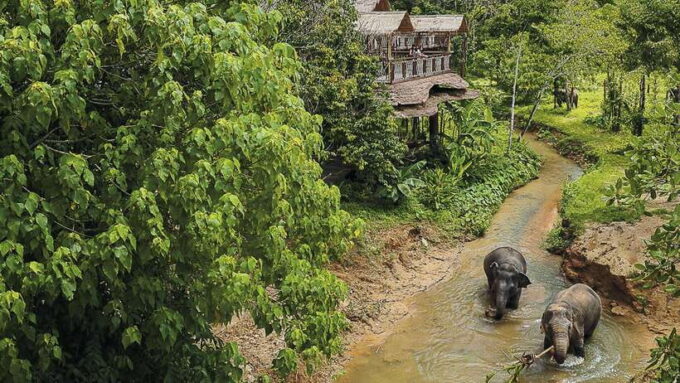 Phuket Elephant Sanctuary: Half-Day With Vegetarian Meal - Frequently Asked Questions