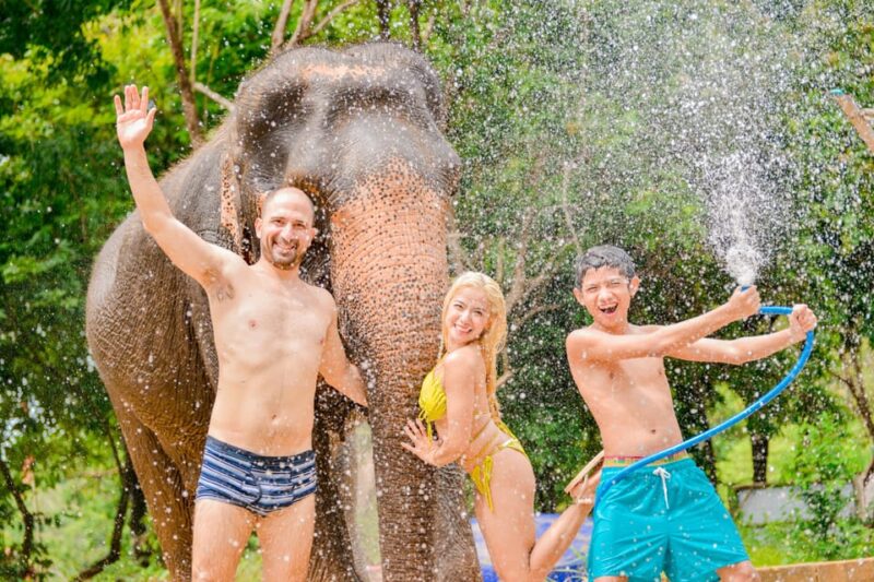 Phuket: Feed and Rain Shower at Elephant Camp With Seaview - Key Points