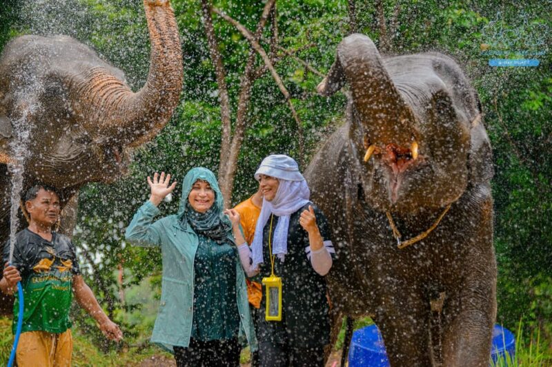 Phuket: Feed and Rain Shower at Elephant Camp With Seaview - Included Amenities