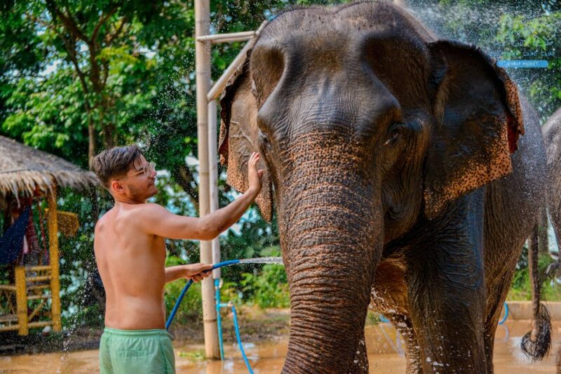 Phuket: Feed and Rain Shower at Elephant Camp With Seaview - Customer Feedback and Ratings