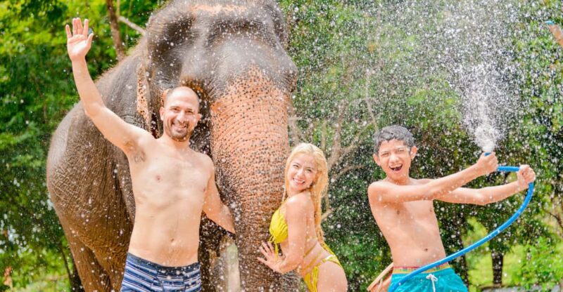 Phuket: Feed and Rain Shower at Elephant Camp With Seaview - Elephant Care and Conservation Efforts
