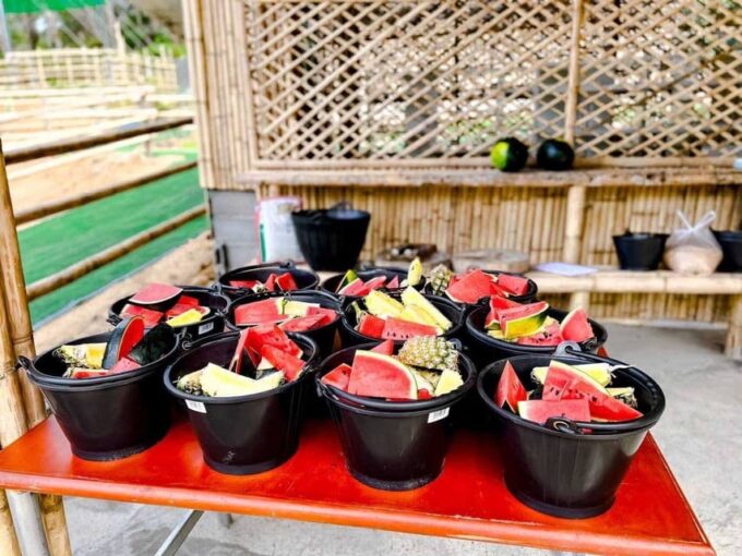 Phuket: Feeding Elephants at Phuket Elephant Care - Customer Feedback