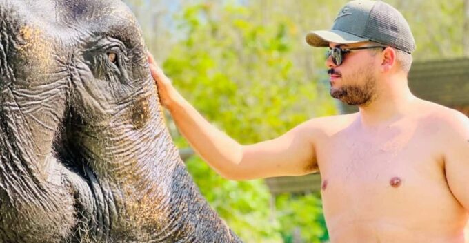 Phuket: Feeding Elephants at Phuket Elephant Care - Important Information