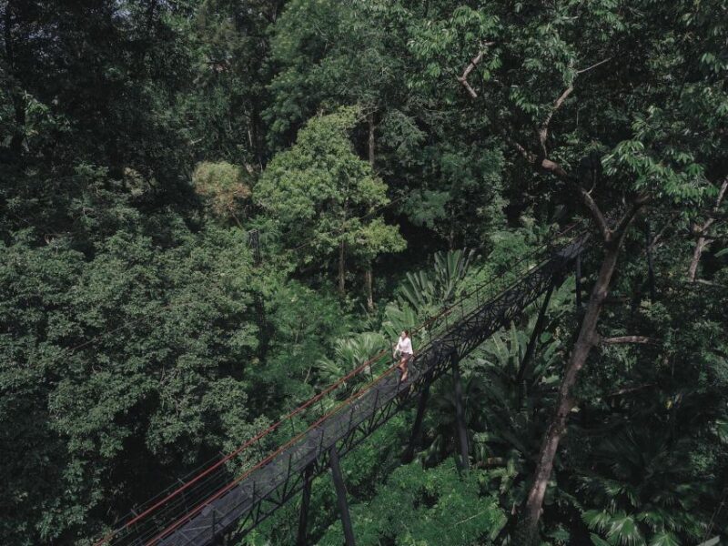 Phuket: Hanuman World Zip Line Adventure - Pricing and Booking Options