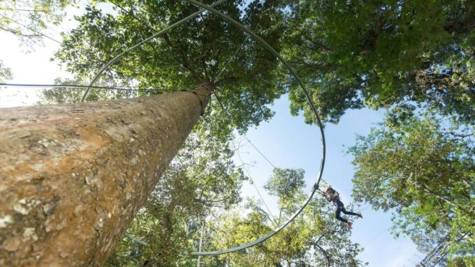 Phuket: Hanuman World Zip Line Adventure - What to Expect on the Adventure