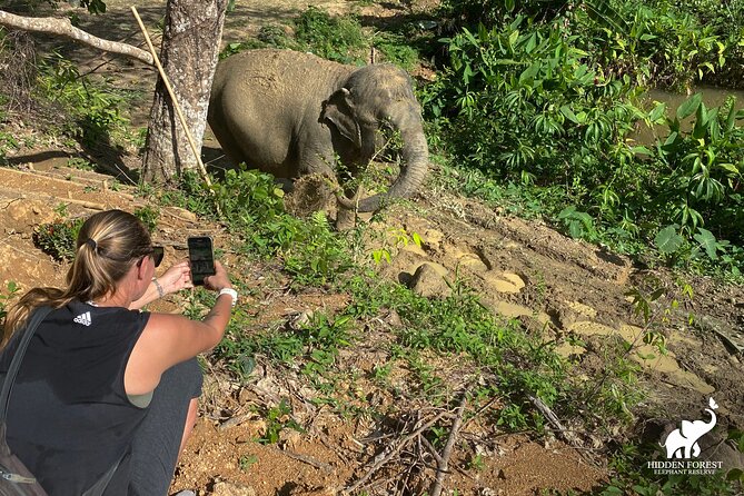 Phuket: Hidden Forest Elephant Reserve Guided Tour With Lunch - Ethical Tourism Importance