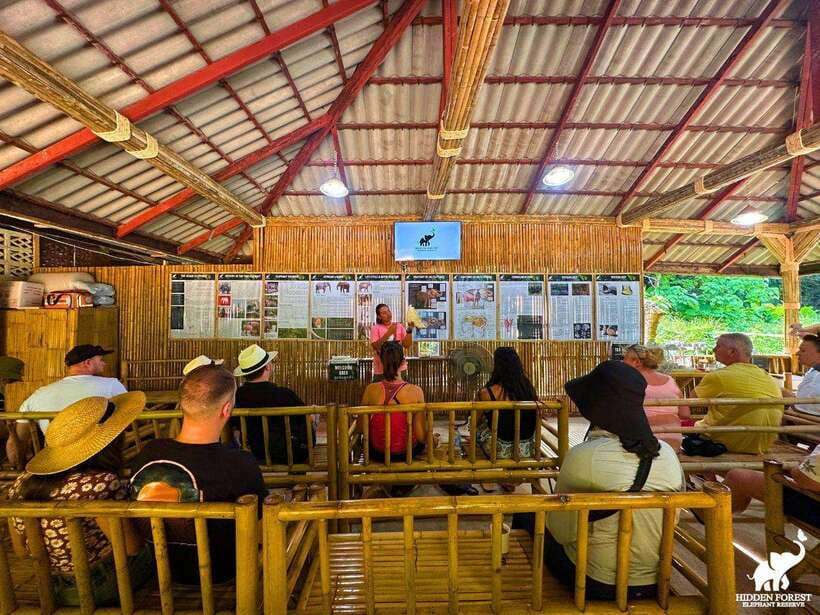 Phuket: Hidden Forest Elephant Reserve With Meal & Transfer - Activities and Guest Engagement