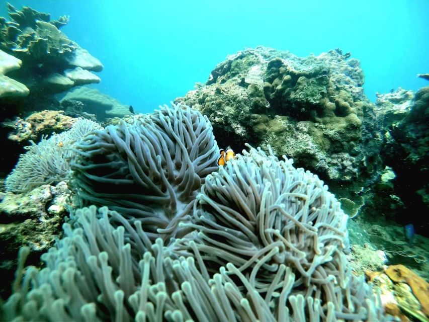 Phuket: James Bond & Phang Nga Island Day Trip - Itinerary