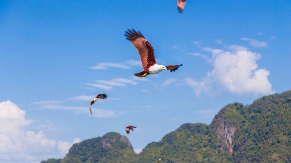 Phuket: James Bond Sea Canoeing and Speedboat Tour W/ Lunch - Exclusions and Restrictions