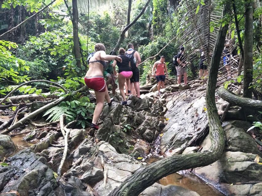 Phuket: Jungle Trekking Experience at Khao Phra Taew - Key Points