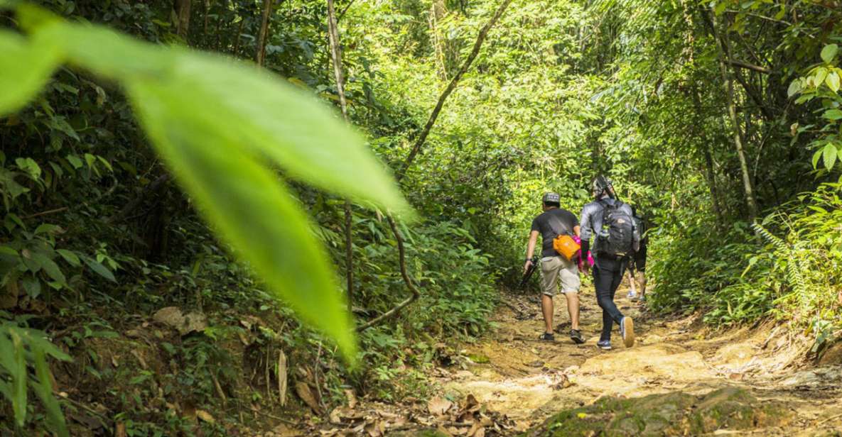 Phuket: Jungle Trekking Experience at Khao Phra Taew - Highlights of the Jungle Trekking