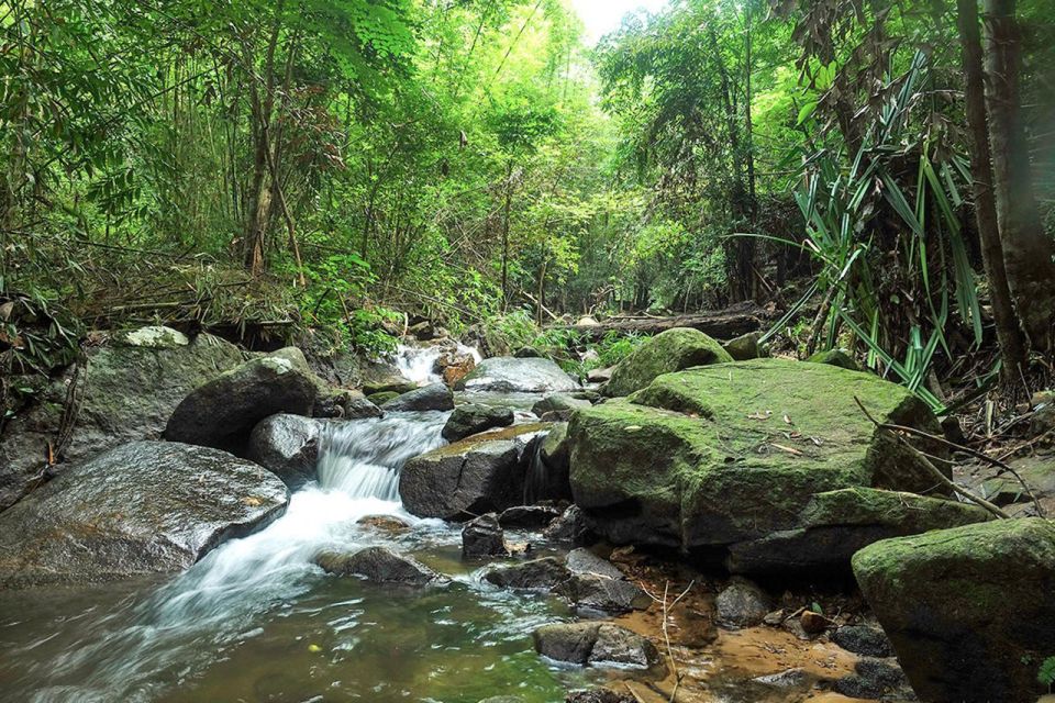 Phuket: Jungle Trekking Experience at Khao Phra Taew - Inclusions in the Tour Package