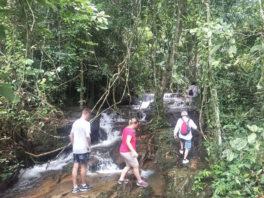 Phuket: Jungle Trekking Experience at Khao Phra Taew - Meeting Details and Duration