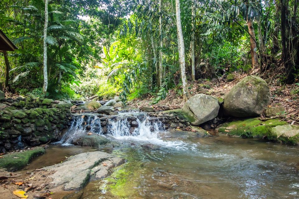 Phuket: Jungle Trekking Experience at Khao Phra Taew - Frequently Asked Questions