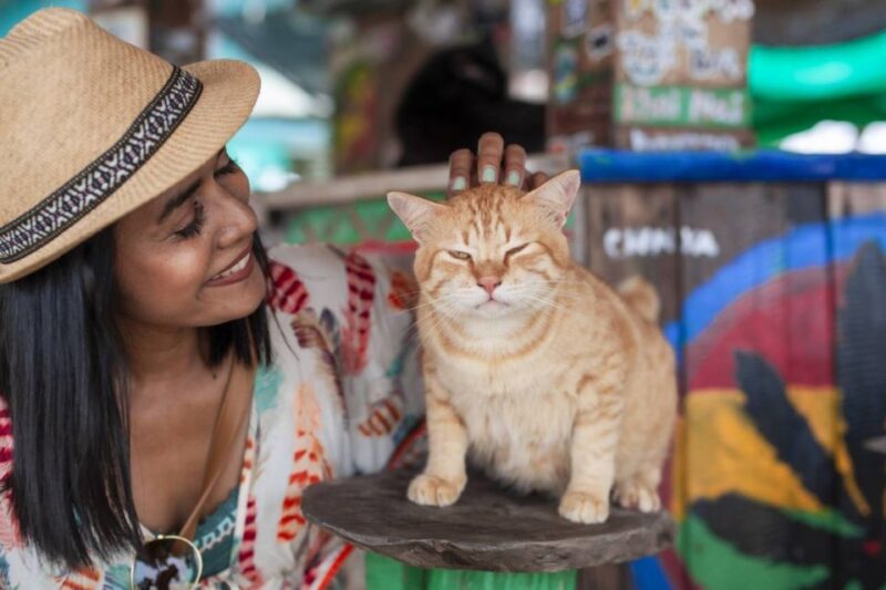 Phuket: Khai Nok, Khai Nai, and Khai Nui Island Day Trip - Customer Reviews and Experiences